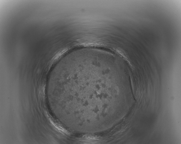 X0000080150491200612151834