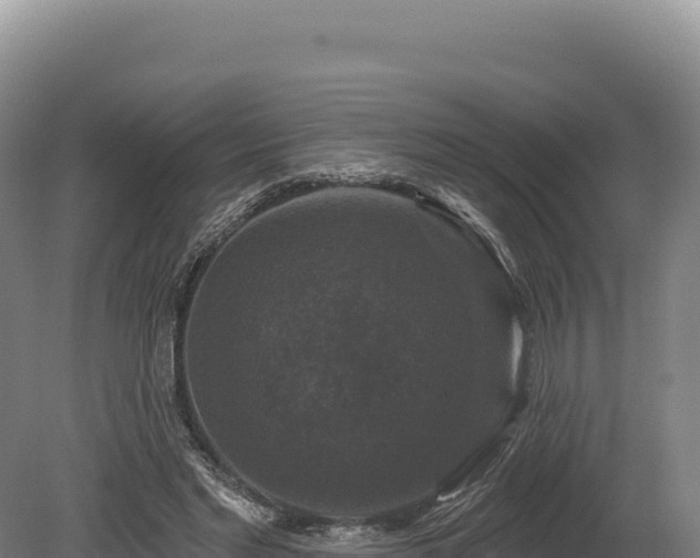 X0000080150493200612151834