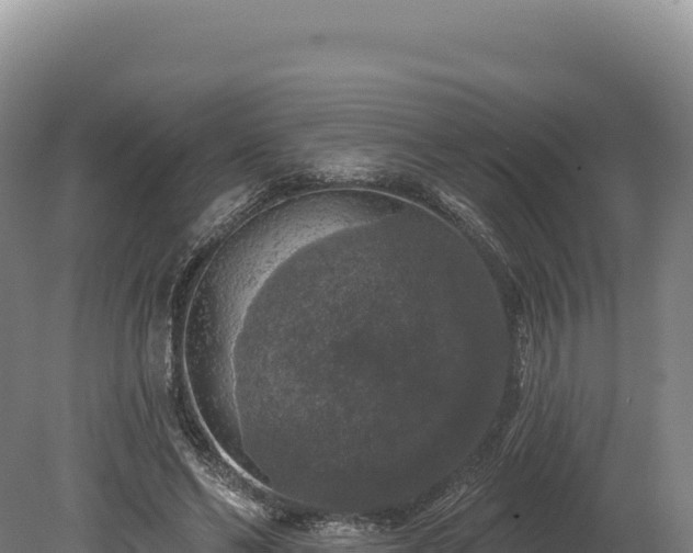 X0000080150494200612151834