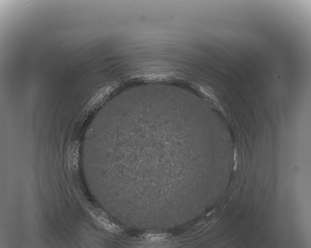 X0000080150495200612151834