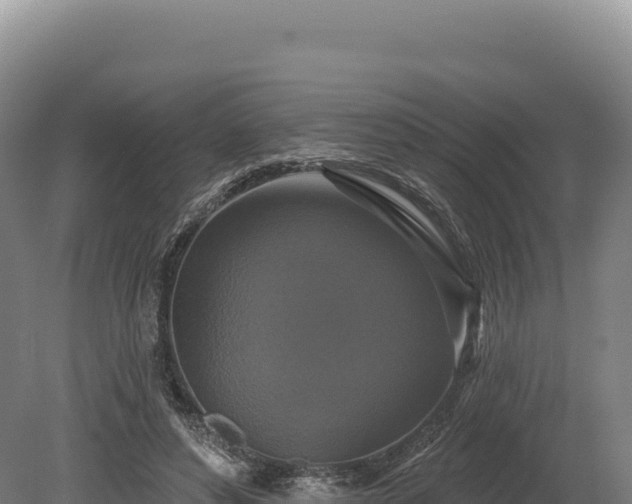 X0000080150496200612151834