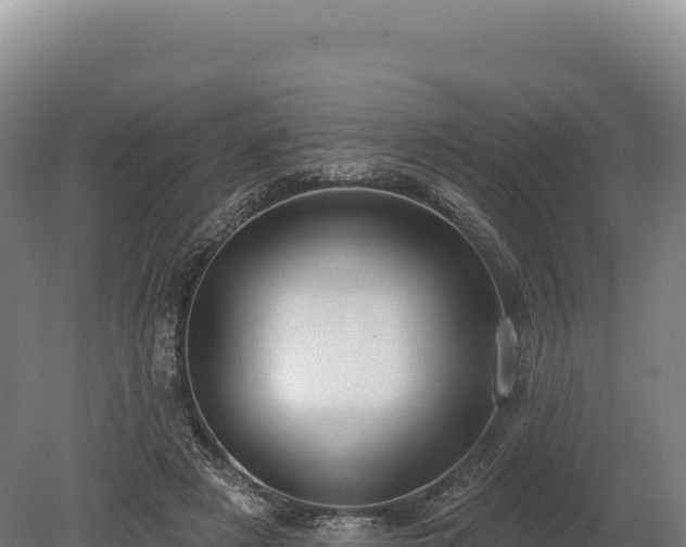 X0000080150497200612151834