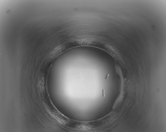 X0000080150498200612151834