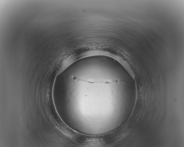 X0000080150499200612151834