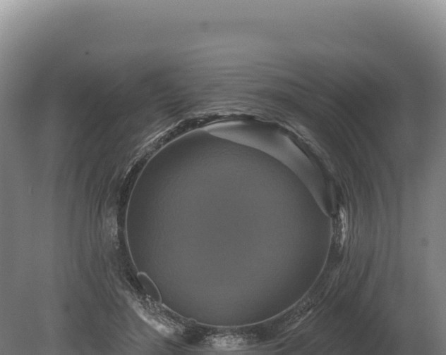 X0000080150500200612151834