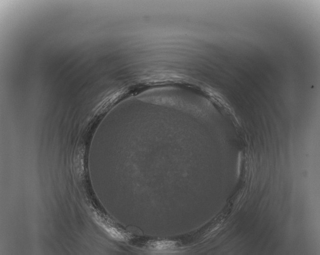 X0000080150501200612151834