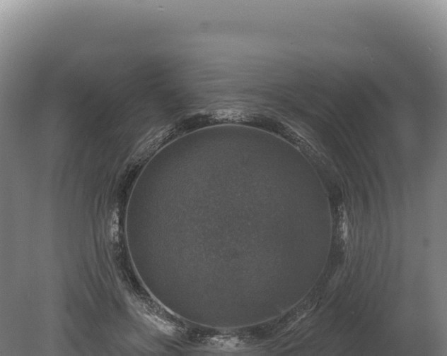 X0000080150502200612151834