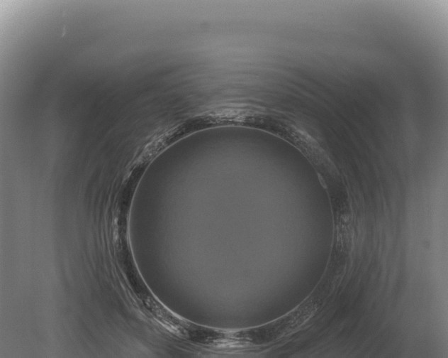 X0000080150504200612151834