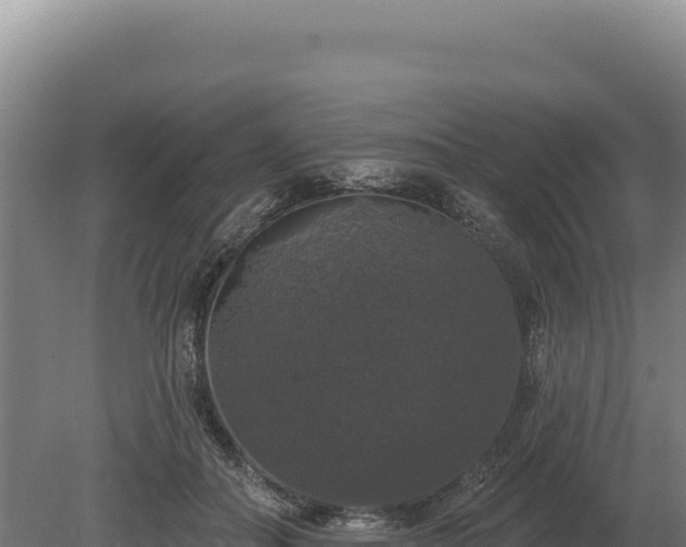 X0000080150506200612151834