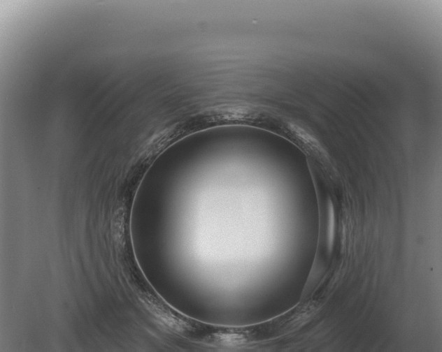 X0000080150509200612151833