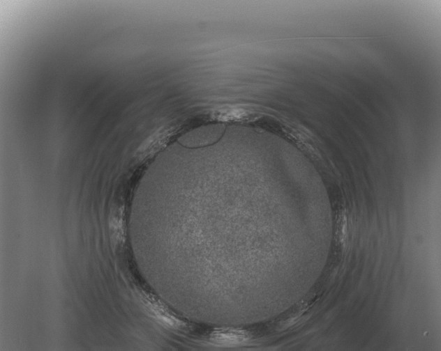 X0000080150510200612151833