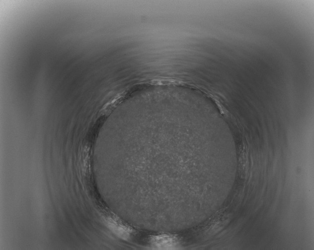 X0000080150511200612151833