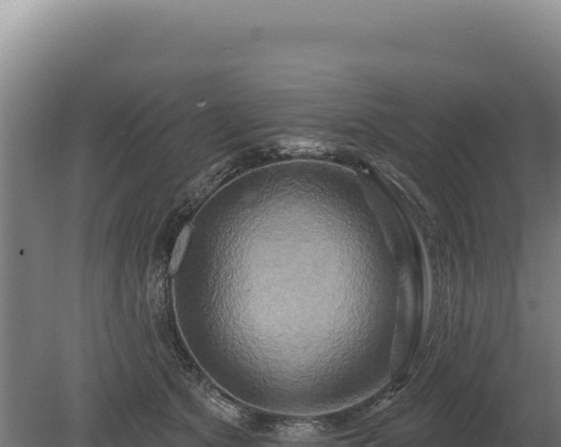 X0000080150513200612151833