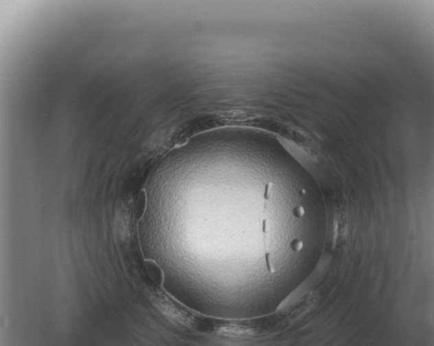 X0000080150515200612151833