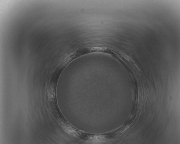 X0000080150517200612151833