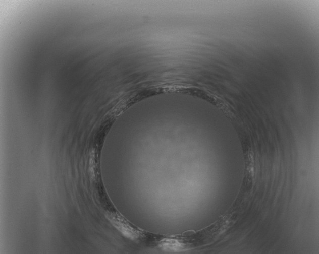 X0000080150519200612151833