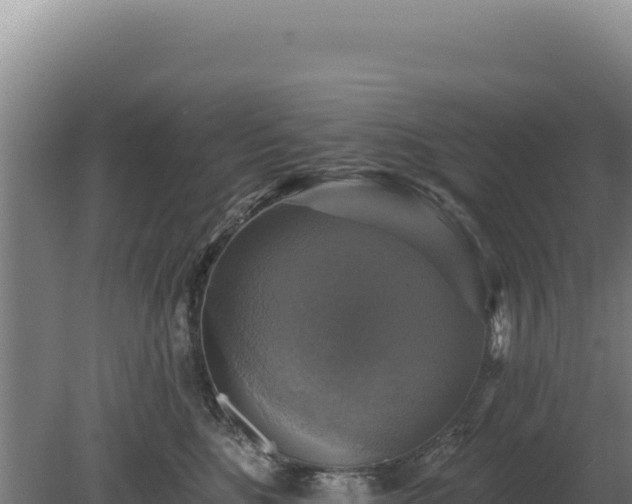 X0000080150520200612151833