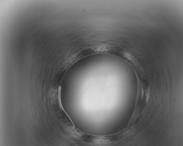 X0000080150521200612151833