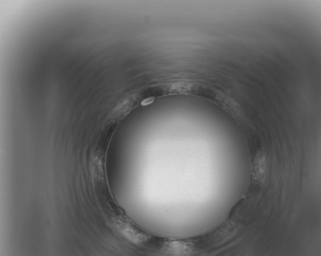 X0000080150522200612151833