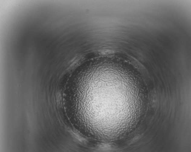 X0000080150523200612151833