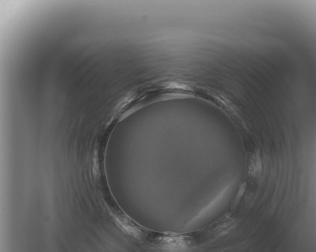 X0000080150524200612151833