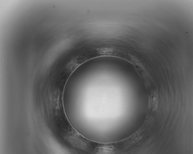 X0000080150525200612151833