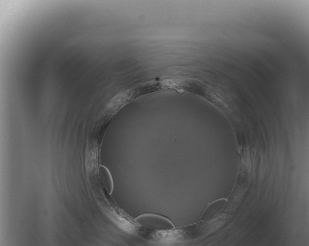 X0000080150526200612151833