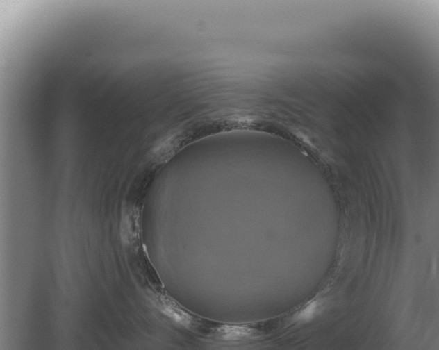 X0000080150528200612151833