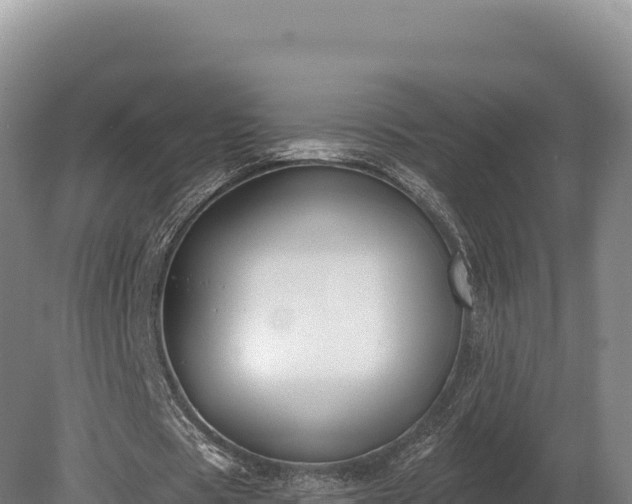 X0000080150529200612151832