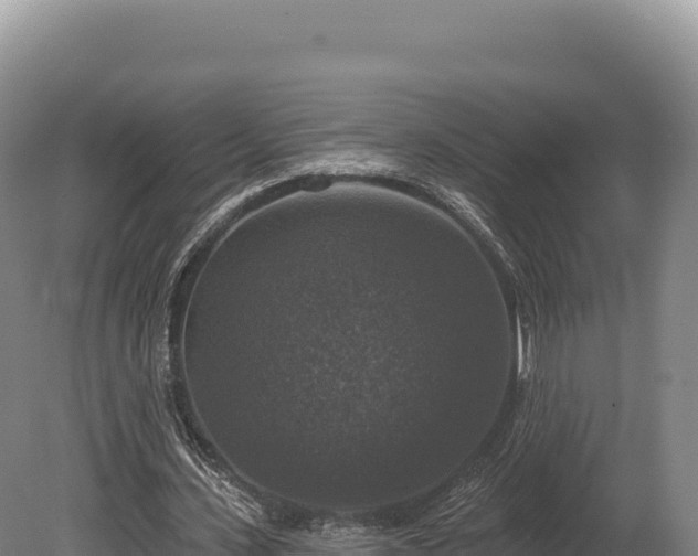 X0000080150531200612151832