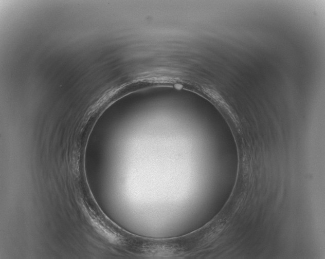 X0000080150533200612151832