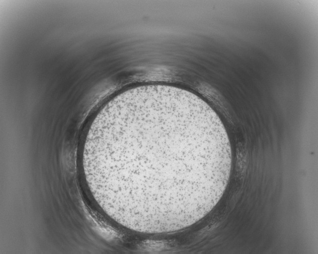 X0000080150534200612151832