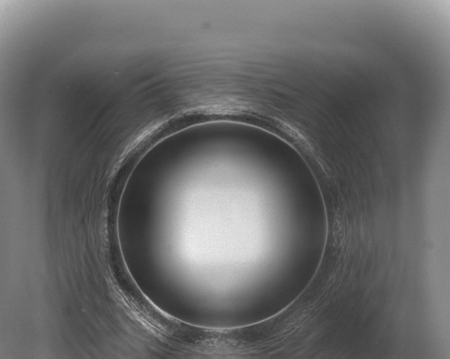 X0000080150535200612151832