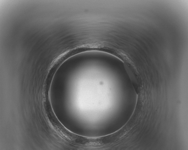 X0000080150536200612151832