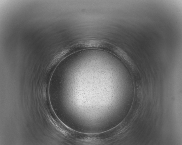 X0000080150537200612151833