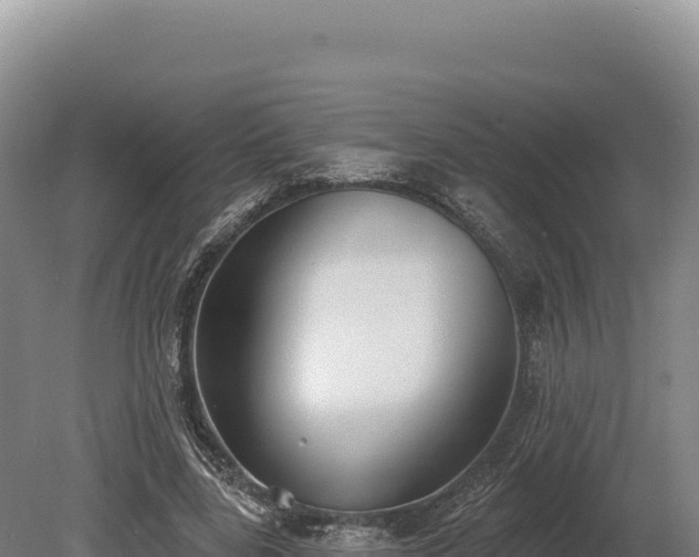 X0000080150539200612151833