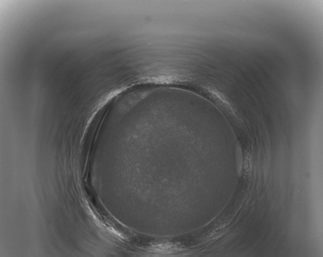 X0000080150540200612151833