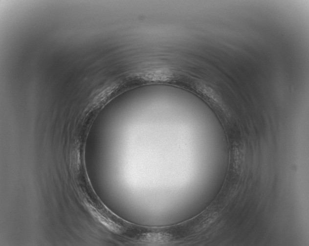 X0000080150541200612151833