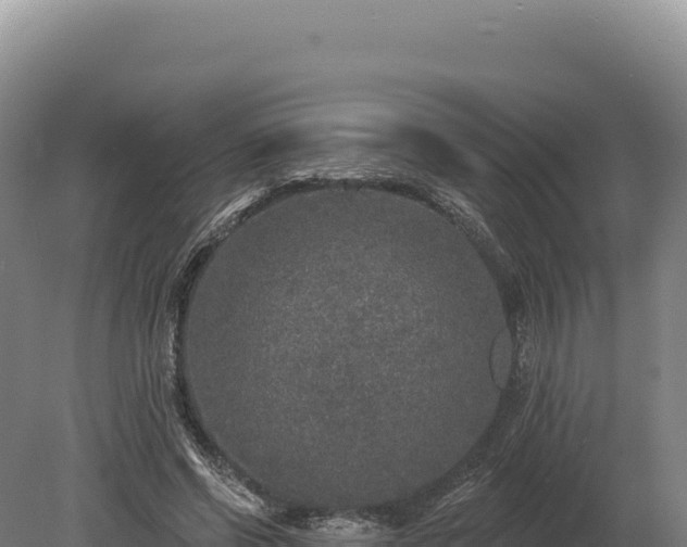 X0000080150542200612151833