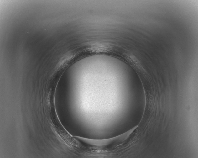 X0000080150543200612151833