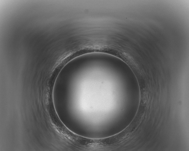 X0000080150544200612151833