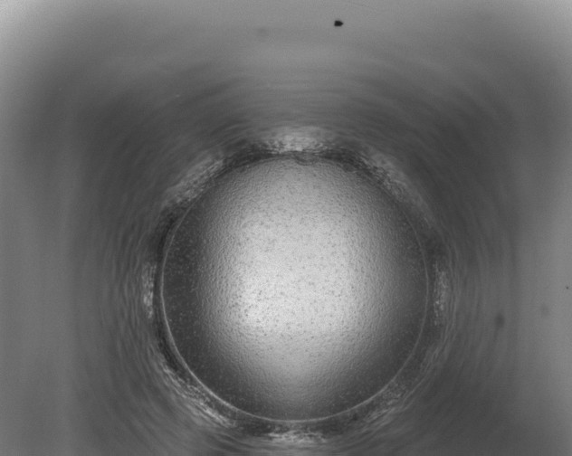 X0000080150545200612151833