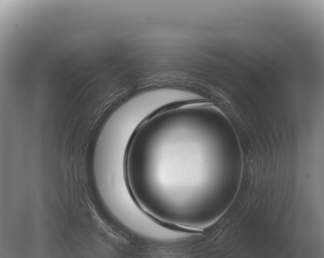 X0000080150546200612151833