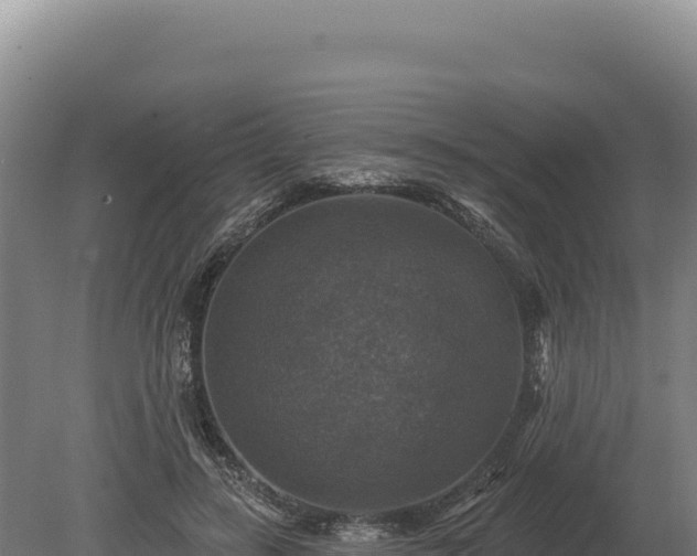 X0000080150547200612151833