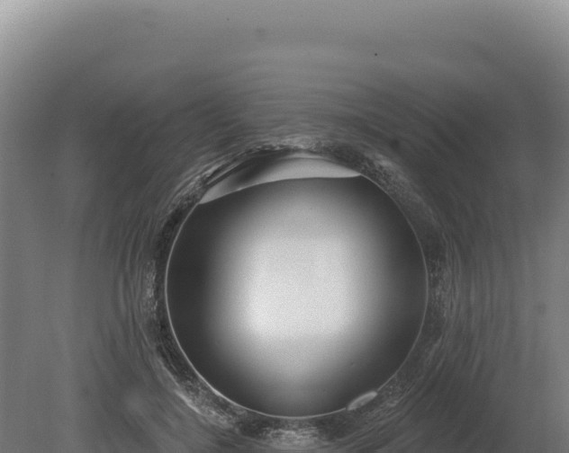 X0000080150548200612151833