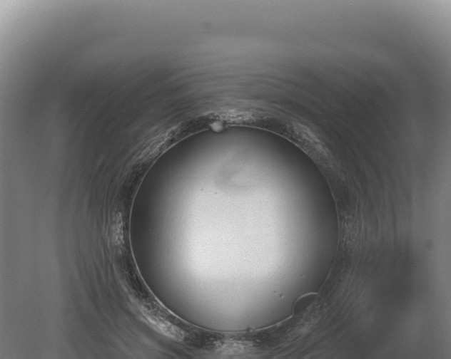 X0000080150549200612151833