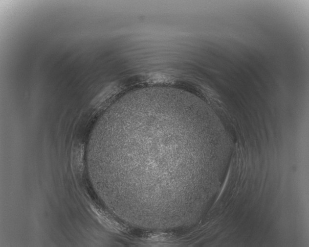 X0000080150550200612151833