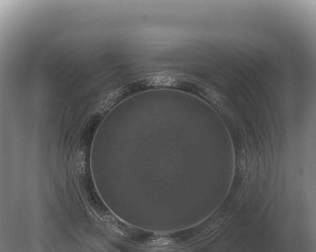 X0000080150551200612151833