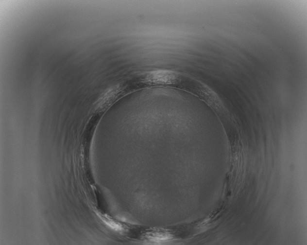 X0000080150552200612151833