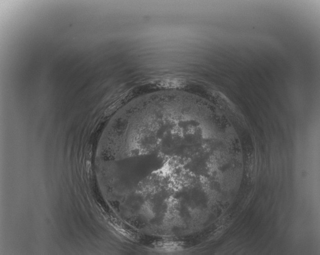 X0000080150553200612151833